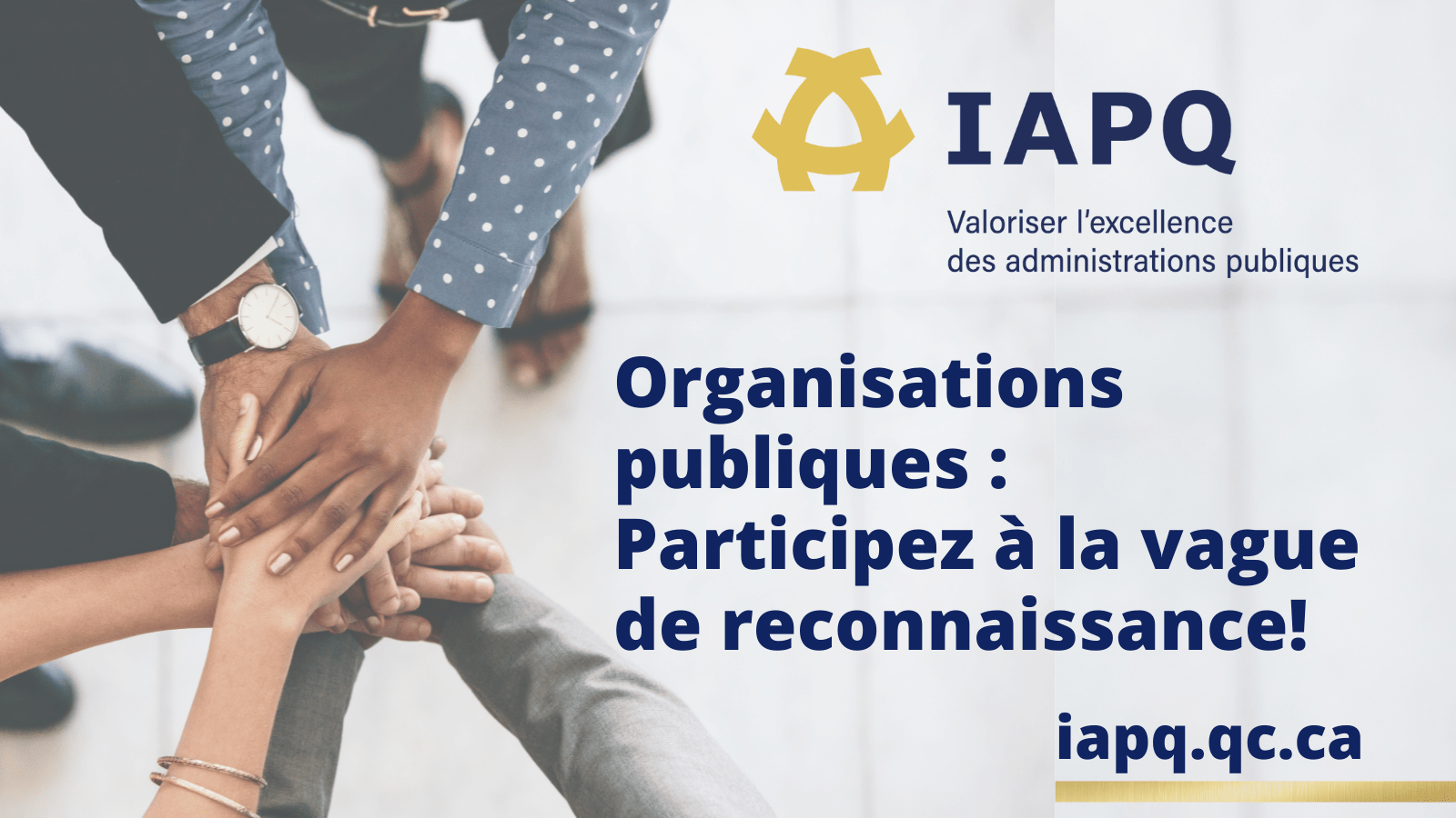 IAPQ